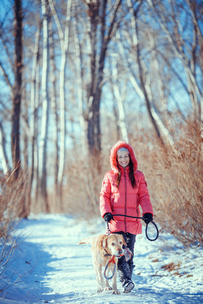 Woman with a dog Labrador  playing in winter outdoors - Fotografie, Obrázek