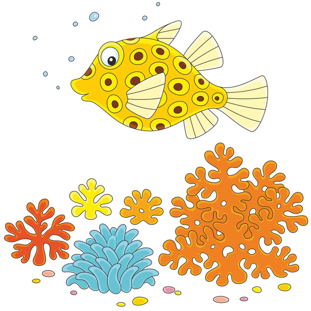 Boxfish amarelo em um recife
 - Vetor, Imagem
