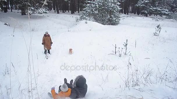 Vader en dochter rijden op een slee in de winter met sneeuw glijbanen, een familie vakantie in park met een hond in winter besneeuwde forest - Video