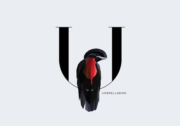 letter U decorated with Umbrellabird  - Vector, Image