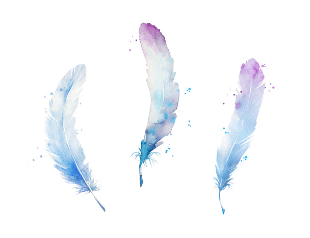 Set of watercolor feathers, hand painted - Fotoğraf, Görsel