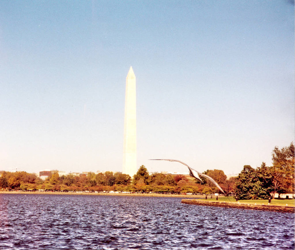 Potomac 2000 görünümünden Washington - Fotoğraf, Görsel