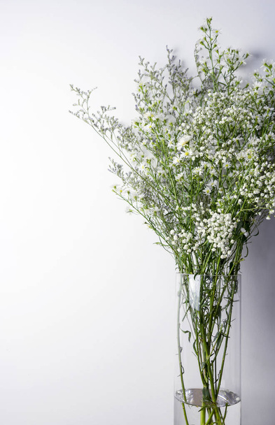 Cutter gypso en caspia bloemen in vaas - Foto, afbeelding