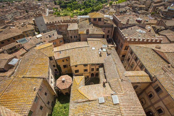 tetti rossi della città vecchia in Toscana
 - Foto, immagini