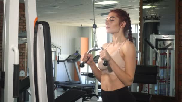 Τακτοποίηση γυναίκα που κάνει άσκηση στο τρικέφαλος μύς - Πλάνα, βίντεο