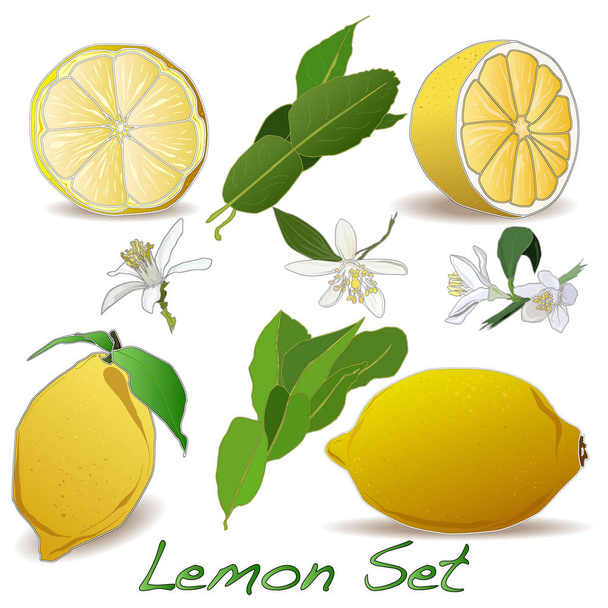 set de limón aislado sobre fondo blanco
 - Foto, imagen