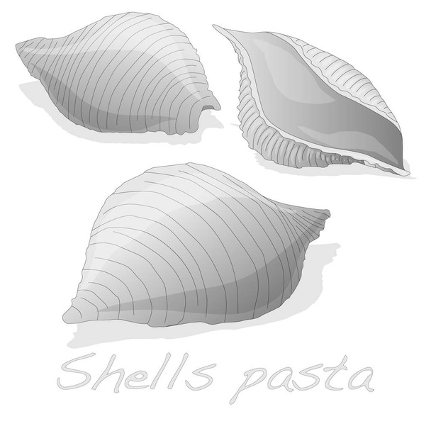 Pasta - Conchiglioni "Shell Pasta" - Fotó, kép