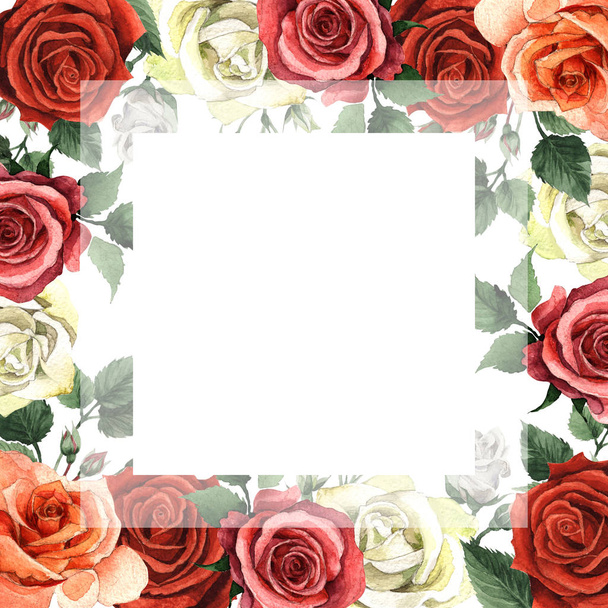 Wildflower rose flower frame in a watercolor style isolated. - Φωτογραφία, εικόνα