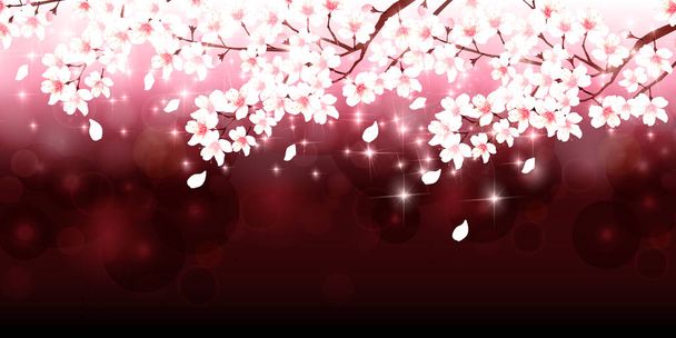 Fondo de flor de primavera de cereza
 - Vector, Imagen
