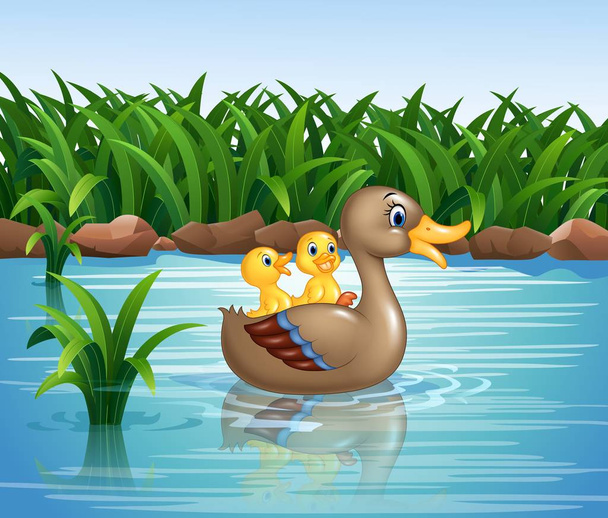 rodinné plavání kachny - Vektor, obrázek
