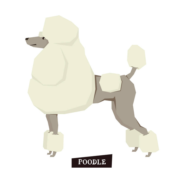 Hond collectie poedel geometrische stijl - Vector, afbeelding