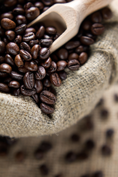 Coffee beans - Foto, Imagem