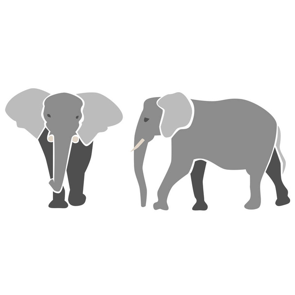 Elephants in grey - Vector, Image
