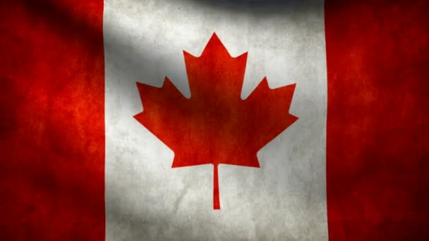 Σημαία Καναδά. - Πλάνα, βίντεο