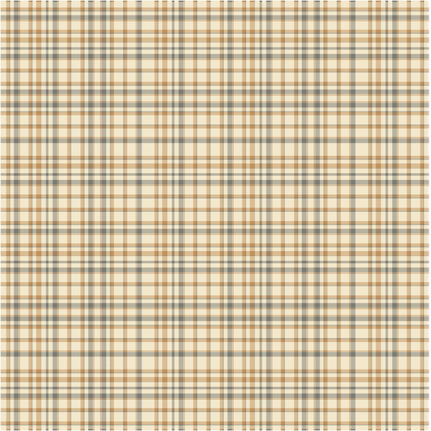 Checkered fabric tartan textile. Vector vintage seamless pattern. - Vector, Image