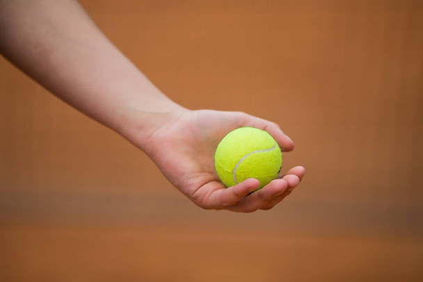 holding a tennis ball - Zdjęcie, obraz