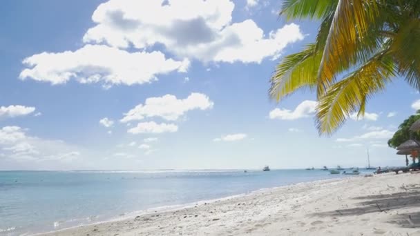 Station tropicale et bain de soleil femme avec tablette - Séquence, vidéo