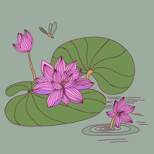 Lotus painted by hand made in a vector - Вектор, зображення