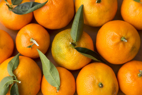 All filled with tangerines, citrus fruits - Foto, imagen