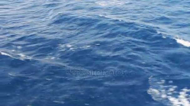 blue sea water passing view from a moving boat - Video, Çekim