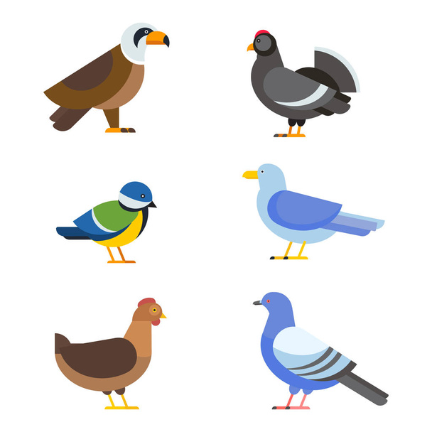 Birds vector set illustration isolated - Vector, Image
