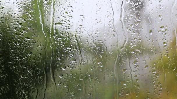 Τροπικό βροχερή μέρα στη πτώση. Το σταγόνες βροχής σε τζάμι σπίτι. Επικεντρωθεί σε σταγόνες της βροχής τρέχει κάτω από το παράθυρο, μεγάλο πράσινο φοίνικα αφήνει φόντο είναι θολό. Ταϊλάνδη - Πλάνα, βίντεο