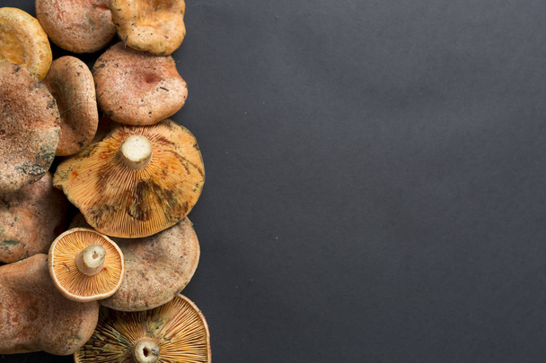 Mushrooms stacked on a black background. - Фото, изображение