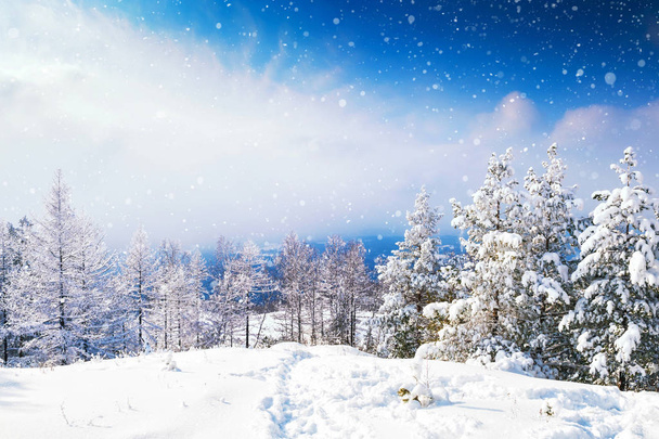Beautiful winter landscape - Foto, afbeelding