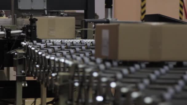 Conveyor belt in a logistics warehouse. Pre-packing of goods - Footage, Video