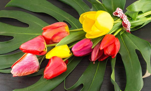 rote und gelbe Tulpen auf grünem Blatt - Foto, Bild