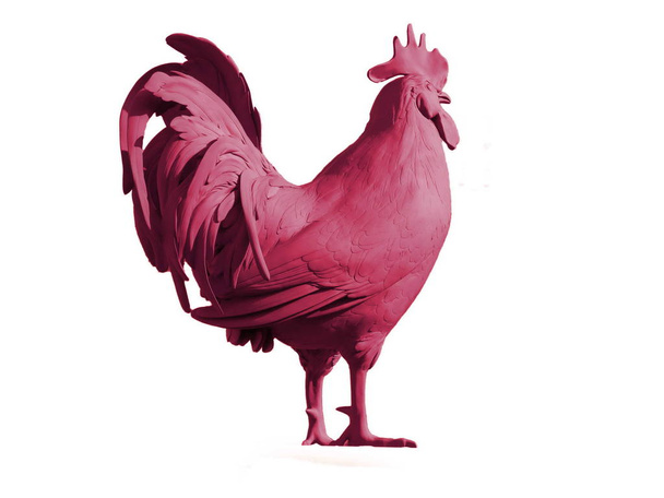 gallo de color rojo brillante
 - Foto, imagen