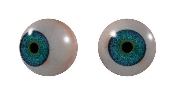 Gözün 3D tıbbi illüstrasyon - Fotoğraf, Görsel