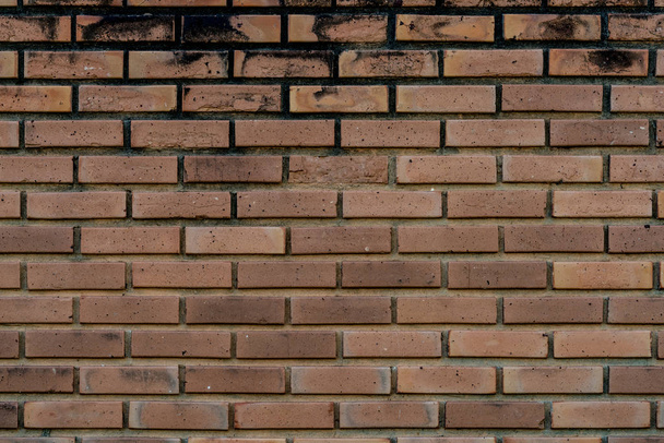 Mattone Wall Texture - Foto, immagini