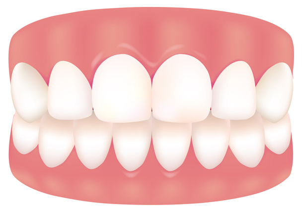 Kuva Hampaasta
 - Vektori, kuva