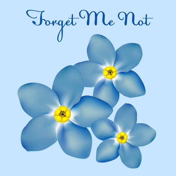 Vector Forget Me Not flowers - Vector, Image