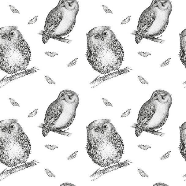 seamless pattern owl fly birds.  - Fotó, kép