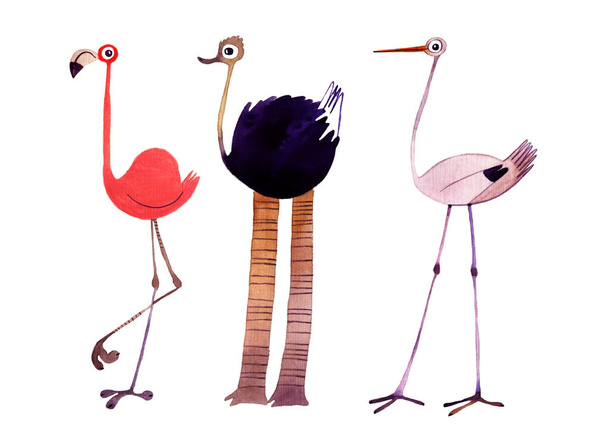 Набір акварельних птахів. Фламінго, різноманітні, стрічкові ручні ілюстрації
 - Фото, зображення