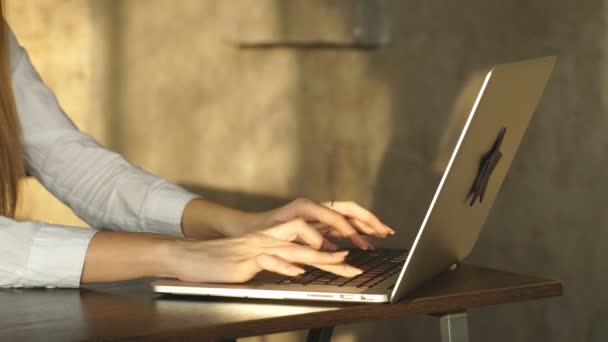 Closeup of a female hands busy typing on a laptop - Séquence, vidéo