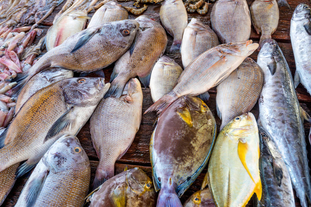 Taze çiğ balık Market - Fotoğraf, Görsel