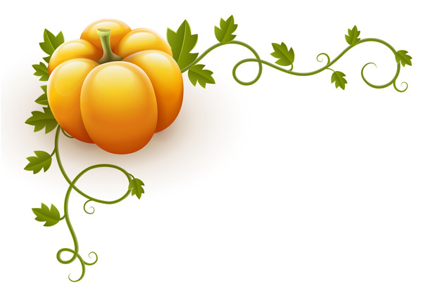 Pumpkin vegetable with green leaves - Vector, Image