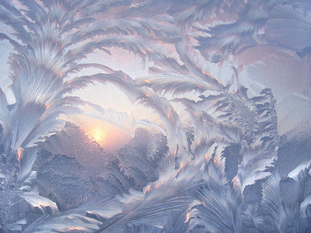 hermoso patrón de invierno
 - Foto, imagen