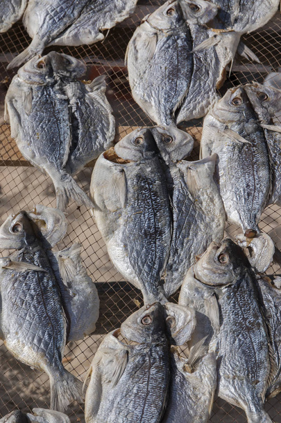 Nazare kurutma balık - Fotoğraf, Görsel