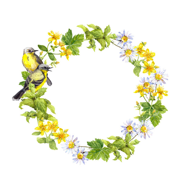 Wreath border - two birds. Meadow flowers, grass. Watercolor circle frame - Zdjęcie, obraz