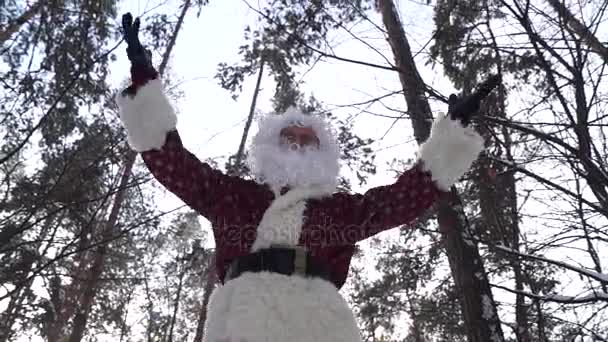 Père Noël sur les inclinaisons dans la forêt d'hiver montrant pouce vers le haut
. - Séquence, vidéo