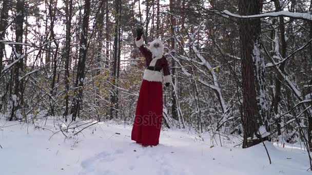Babbo Natale sui pennacchi nella foresta invernale Mani ondulate
. - Filmati, video
