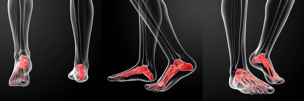 Rendering 3D dei piedi scheletrici umani
 - Foto, immagini