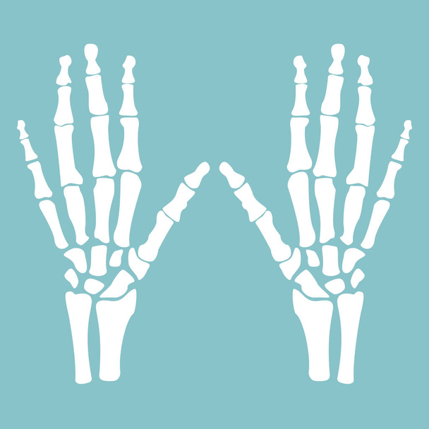 Human hands vector - Vector, Imagen