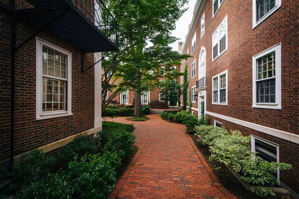 Brick walkway and buildings at Harvard Business School, in Bosto - Foto, afbeelding