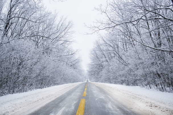 Snowy winter road - Foto, Bild