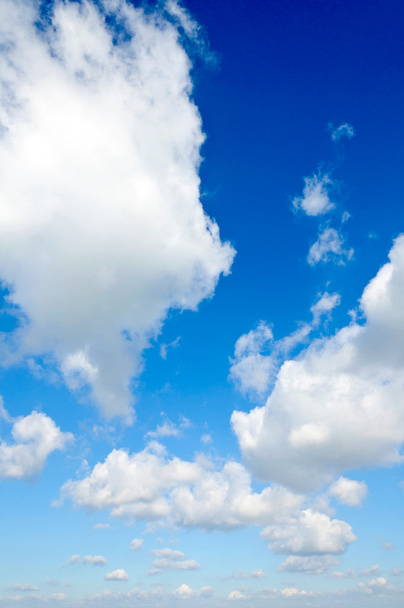 Букет з хмари
 - Фото, зображення